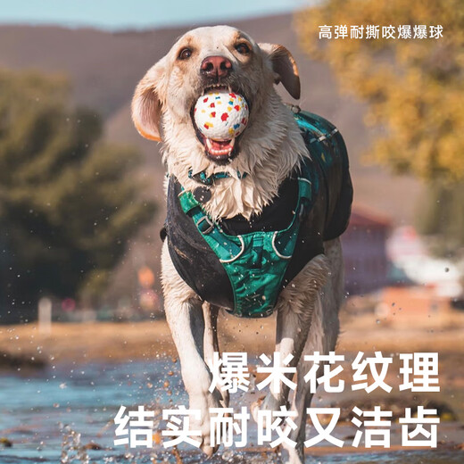 HELLOJOY dog toy bouncy ball solid bite-resistant dog training artifact large, medium and small teddy unbreakable puppy toy 6.5cm