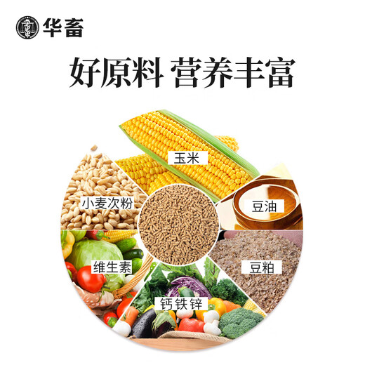 Hua livestock chicken feed, medium and large chicken pellet feed, rutin, eggs, chickens, ducks and geese, special chick opening feed premix, 1 bag, medium and large chicken feed, 20Jin, Jin is equal to 0.5kg