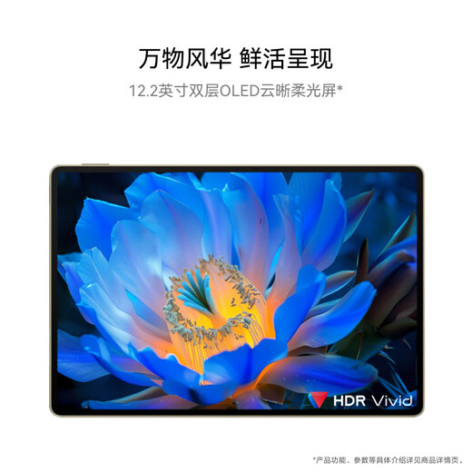 HUAWEI MatePad Pro 12.2英寸流金典藏版华为平板电脑双层OLED全面屏办公学生学习16G+1TB流金 SIM卡版