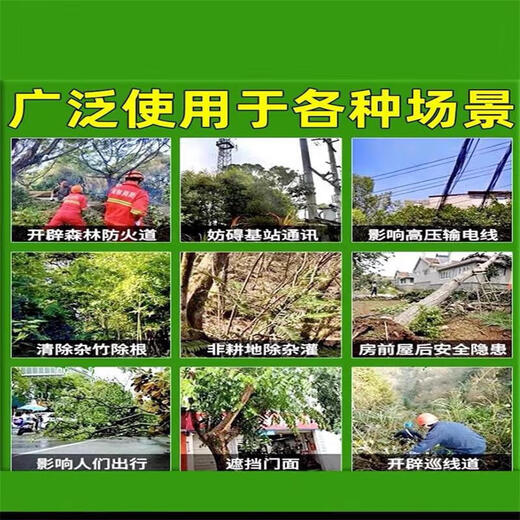 Big tree rotten root powder, powerful tree removal powder, cyclozinone herbicide, big tree dead removal, bamboo rotten root corrosive, three barrels, buy two, get one free, 500g, 3 barrels
