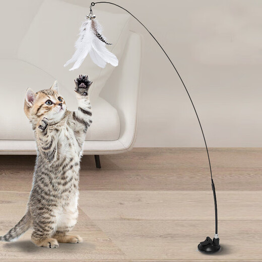 Forest Bird Cat Toy Cat Teasing Stick for Lazy People Automatic Cat Teasing with Bell Feather Suction Cup Cat Self-Happiness and Relief from Boredom White Set Upgraded Powerful Suction Cup