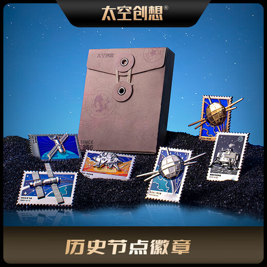 SpaceX Historical Point Badge Brooch