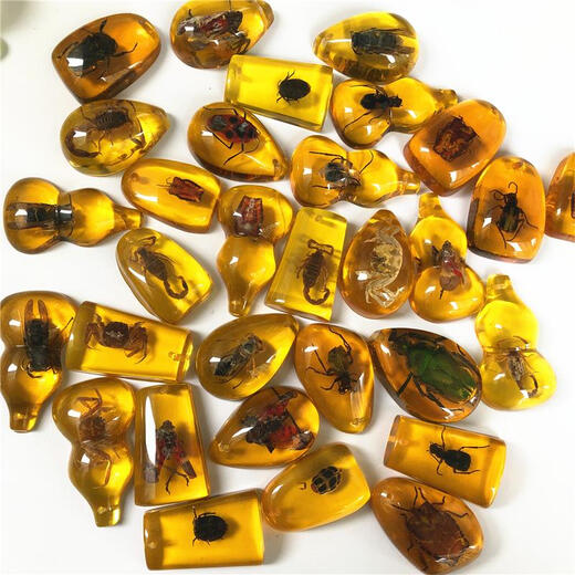 DR-FLVVS Fat Donglai quality insect amber specimen pendant made of blind box resin glue ornaments for primary school students and children's textbook teaching a transparent scorpion