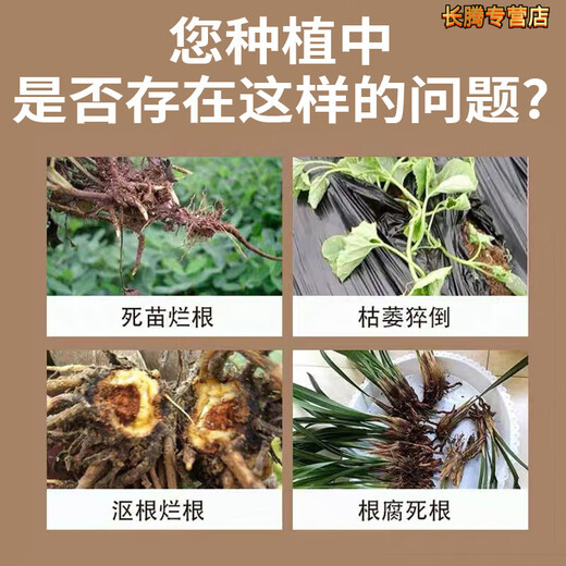 Root rot inhibitor, dead trees, stiff seedlings, disease resistance, rapid root strengthening, damping off and rotten roots, purifying soil, water-soluble fertilizer, 300ml root rot inhibitor supplement solution