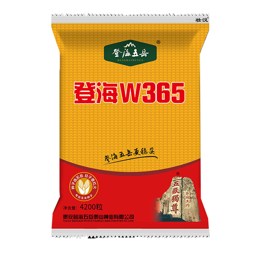 Полная коллекция крепких семян кукурузы, высокая урожайность, короткие стебли, устойчивы к полеганию, засухе и переувлажнению, не плесневеют, крупные твердые стебли, быстрое обезвоживание, стандарты Академии сельскохозяйственных наук, национальное одобрение Дэнхай, около 4200 зерен.