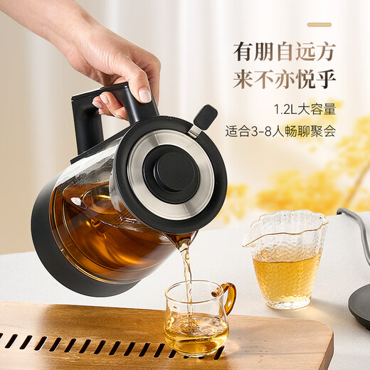 OUMETE tea kettle, spray steam tea kettle, health pot, glass thermal insulation tea kettle OMT-PC1051 (single network)