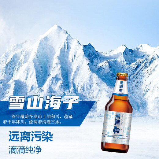 Qinghai Lake Beer Wort 11% Plateau Barley Beer Wheat White Beer 500ml*12 Full Box Beer