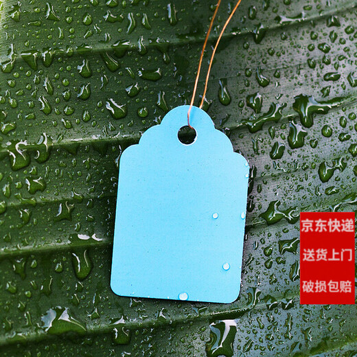 100张PVC彩色塑料植物吊签牌花卉园艺盆栽小挂牌苗木吊牌多肉标签 4.5x3cm白色/100张一捆