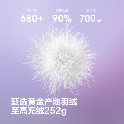 Bosideng Winter Down Jacket Women's Puff Thickened Hooded Jacket Shopping Mall Hot Sale Same Style B250243102