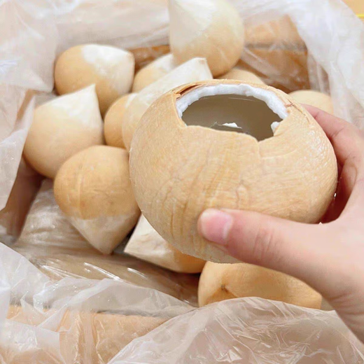 Imported milky coconut royal coconut seasonal fresh fruit green coconut milky fragrance rich and sweet taste milky coconut royal 4 pieces large fruit single fruit 400-500g