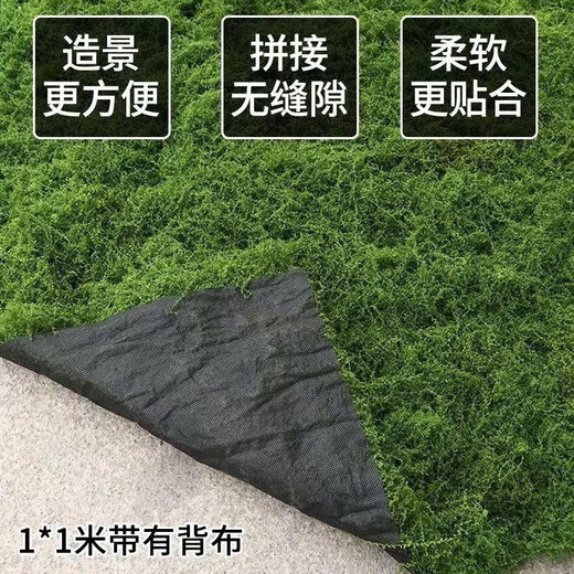 秦火人造假青苔草坪软装橱窗盆景地面铺面造景绿植墙装饰仿真苔藓草皮 浅绿色丝状苔藓0.5米×1米