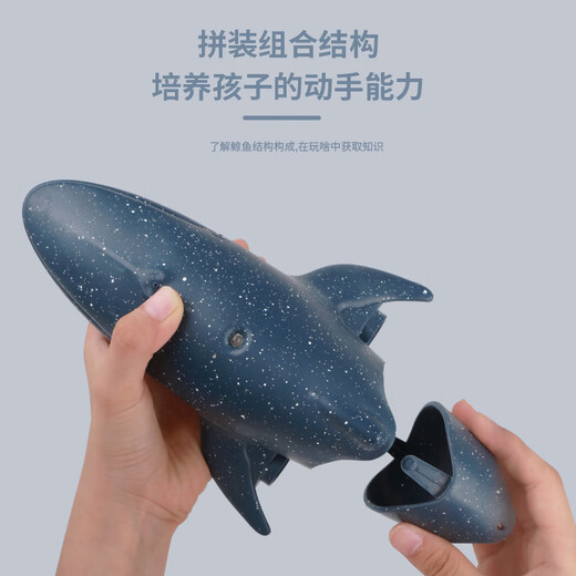 Yi Xin Remote Control Shark Charging and Can Be Launched into the Water to Simulate a Swinging Megalodon Model Remote Control Boat Children's Toy Boy Water Spray Model Deep Sea Black Shark - Black + Anti-Official Standard