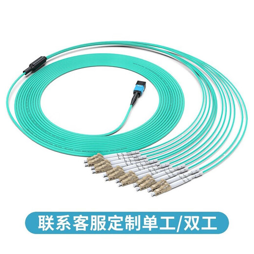 胜为光纤跳线MPO-LC12芯 30米 网线多模OM4万兆40G光模块集束光纤 MPO-LC/12芯  胜为 光纤跳线 MPO-LC MPO-LC/12芯 3米 FMPL-1203