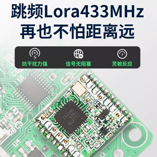 Puffin remote control switch wireless remote control timer switch timer water pump remote control remote control switch 220V 3km-220V timer off