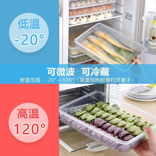 Junkiss Dumpling Box Frozen Dumplings Multi-layer Extra Large Tray Food Grade Large Capacity Transparent Food Storage Box Wonton Freezer Box Extra Large 3 Lid Undivided Blue 3 Layers