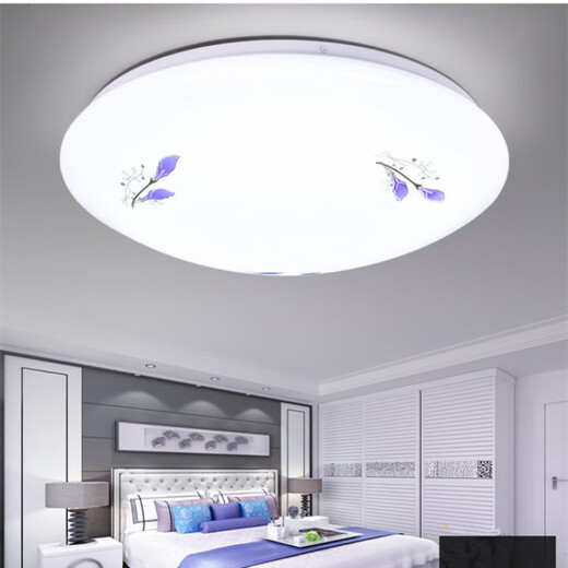 Micro-LED ceiling lamp round remote control atmospheric living room lamp modern simple bedroom lamp balcony lamp restaurant lighting 40 cm in diameter white light 48 watts Camellia style