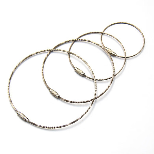 Jinguluo Today/next day delivery Wire lock buckle Wire rope key ring Stainless steel wire ring 2.0mm*30cm (10 pieces) KZS-1127