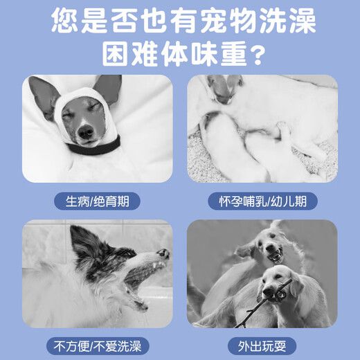 New Pet Wipes Cleaning Supplies Disposable Disposable Gloves Dog Bath Gloves Deodorizing Cat Ears, Eyes and Mouth Stock-Disposable Gloves 6 packs 60 pieces