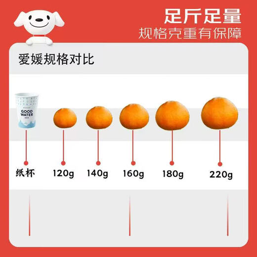 Jingxiansheng Good Goods for Public Welfare Grandpa Chuan’s Ehime No. 38 Jelly Orange Net weight 4.5-5Jin Jin is equal to 0.5kg Single fruit 120g