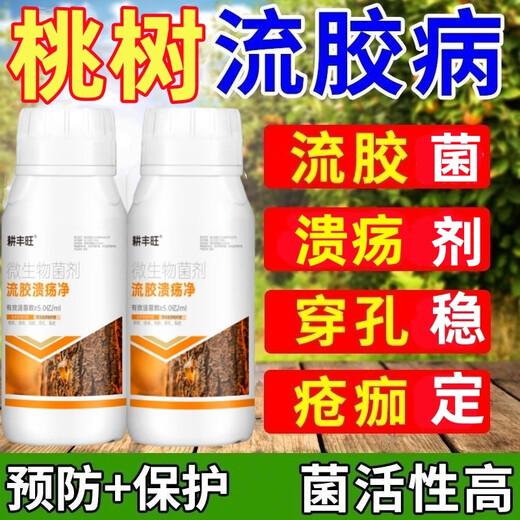 Gengfengwang peach tree gum disease special medicine peach tree gum disease one spray to clean peach tree scab disease perforation canker peach tree gum disease medicine 500ml (can be mixed with 1000Jin Jin equal to 0.5 kg of water)
