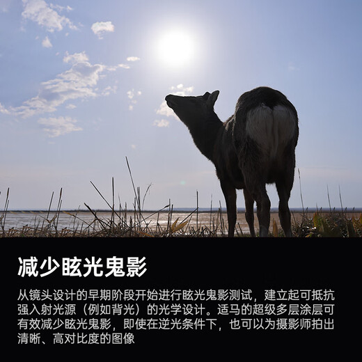 SIGMA 18-50mm F2.8 DC DN Contemporary half-frame mirrorless 1850 standard zoom lens portrait travel live broadcast (Canon RF mount)