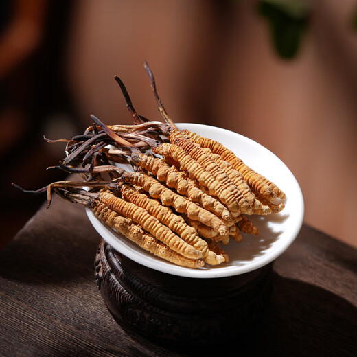 Zangxitang cordyceps sinensis haute altitude nouvelle boîte cadeau séchée cordyceps avec marchandises séchées cordyceps sinensis head période 2 racines / g 20 grammes total 40 racines [cordyceps roi]