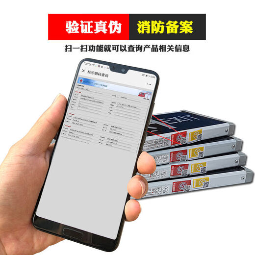 Man Wah Electrician Man Wah Fire Emergency Evacuation Lighting Surface Mounted Ceiling Light Aisle Corridor Light LED Corridor Light Emergency Lighting 220V-Man Wah 150mm Direct Emergency Ceiling Light