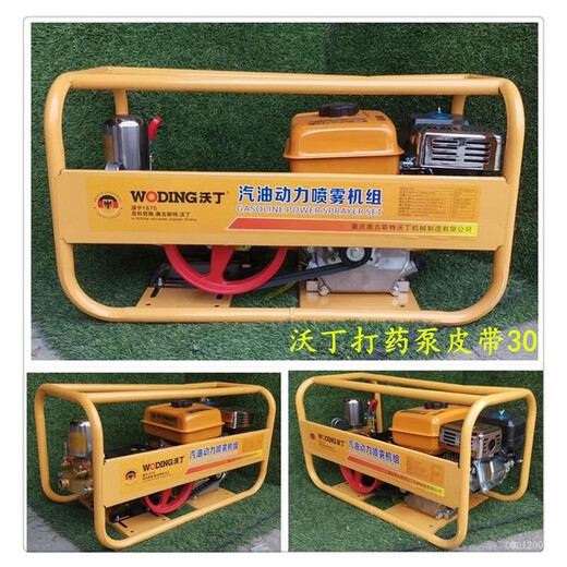 Woding gasoline spray pump belt 30-72 (w3032)