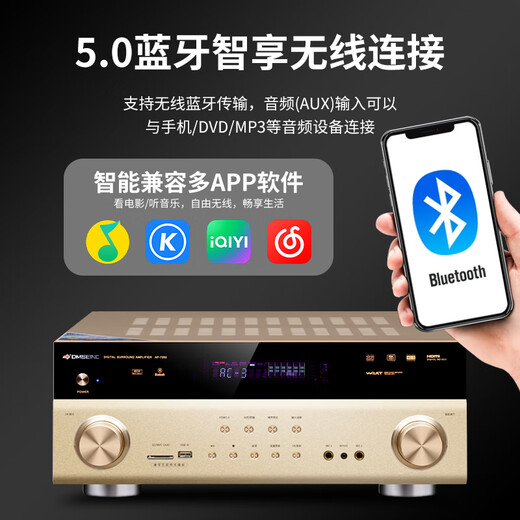 Danish Sheng (DMSEINC) JY-550 Home Cinema Audio 5.1 CANAL PASSIVO PASSIVO Sala de estar Audio Home Audio Audio Home KTV Subwoofer combinado con paquete de amplificador 2: 5.1 Canal + 9600 Amplificador [Edición profesional]