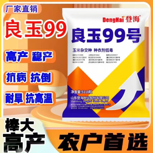 New species in stock original Liangyu 99 corn seeds disease-resistant and temperature-resistant Shandong Denghai Liangyu 99 hardcore corn big cob New species Denghai Liangyu 99 5118 grains x1 bag