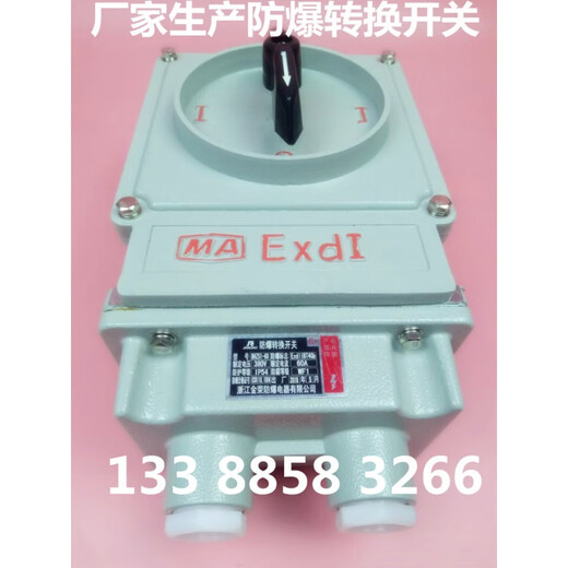 Transfer switch BHZ51-25/3 three-phase switch 25A 220V380V explosion-proof transfer switch BHZ51-25A