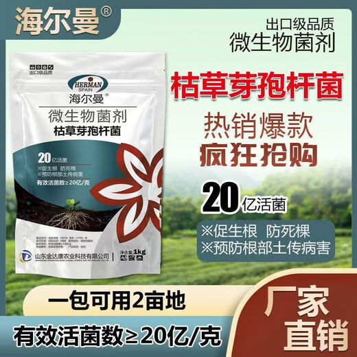Guanlong Agricultural Chemical Bacillus subtilis compound microbial agent to prevent and control bacterial wilt, root rot, ginger plague and root rot 1000g*1 bag