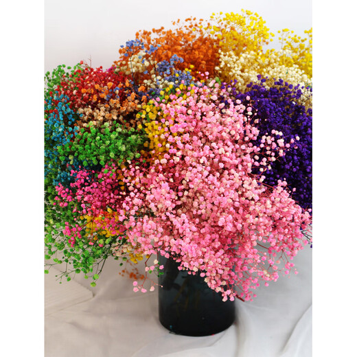 Jatu Dace Festival Dried Flowers Everlasting Gypsophila Real Flowers Home Wedding Decoration Flower Arrangement Window Soft Decoration Landscaping Dream Star Yunnan Straight Everlasting Gypsophila Light Pink About 420g