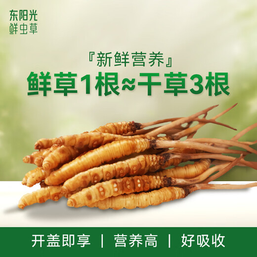Dongyangguang Fresh Cordyceps Сахар Сахар Сахар Сахар Сахар Сахар.