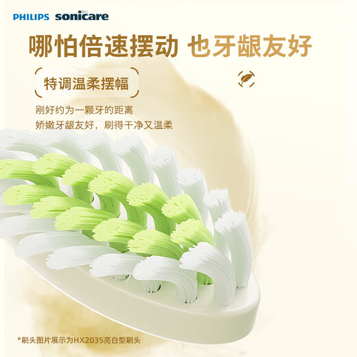 Philips (PHILIPS) Electric Toothbrush SPA Spa Brush S5 Birthday Gift Couple Gives Boy/Girlfriend 5 Modes Soft Whitening Gum Protection HX2491/01 New Year's Gift Valentine's Day Gift HX2491/01