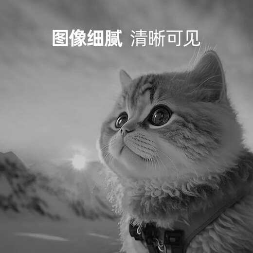 Brother original TN/DR-2520XL toner cartridge domestically produced 2508/2548/2628/2648 original TN-2520XL high capacity without external paper box about 3000 pages