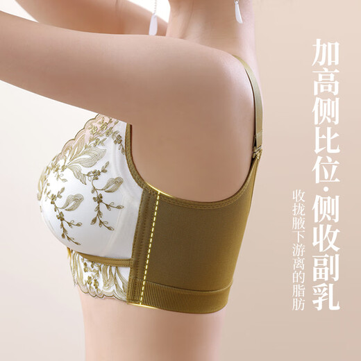 Nikita women's underwear for small breasts, push-up, auxiliary breast adjustment, thin at the top, thick at the bottom, embroidered lace, wire-free bra, champagne color 9929 90A B/40AB