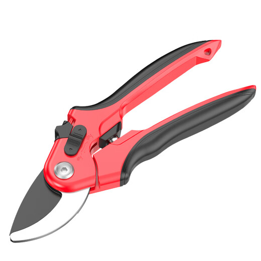 Prund pruning scissors, fruit tree scissors, gardening scissors, potting scissors, flower tools, garden green plant scissors, floral manual scissors, 8-inch SK5 steel pruning shears, non-slip handle