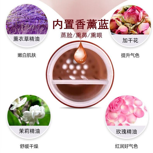 Golden Rice Facial Steamer Hot and Cold Dual Spray Nano Spray Beauty Instrument Hydrating Cold Spray Humidifying Facial Steamer Facial Steamer KD169A White Hot and Cold