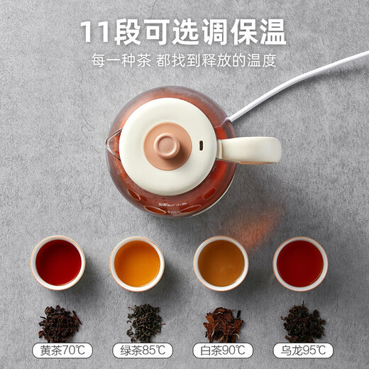 Bear Tea Maker, Tea Maker, Flower Teapot, Health Pot, Mini Constant Temperature Electric Kettle, Kettle, Tea Steamer, Spray Type Stainless Steel 1L Black Tea Set ZCQ-A10W5 Basic Microcomputer 1L