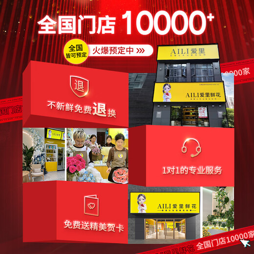 Airi Flowers intra-city express delivery giant bouquets of roses, birthday flowers, date flowers for girlfriends, gifts for besties, 33 purple roses, pink snow mountain powder, platycodon mixed bouquets