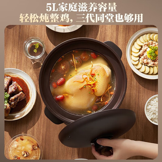 SUPOR Electric Stew Pot Purple Clay Pot 5L Large Capacity Quick Stew Pot Multifunctional Porridge Pot Electric Casserole Home Stew Smart Reservation Stew Pot Electric Stew Cup Special Pot for Porridge Purple Pottery 5L Purple Clay Family Choice