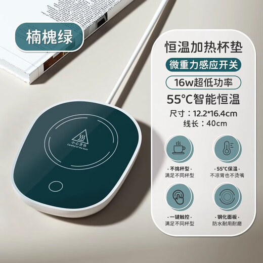 Tiannan Brothers Electric Heating Coaster 55 Degree Warm Cup Health Cup Constant Temperature Coaster Automatic Insulation Base Hot Milk Heater Household Water Cup Birthday Gift Green Constant Temperature Coaster + Bear Cup with Cover and Spoon Set
