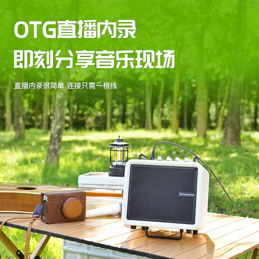 Music Knight H6 musical instrument guitar audio playing and singing electric blowpipe saxophone Bluetooth live broadcast karaoke speaker red standard