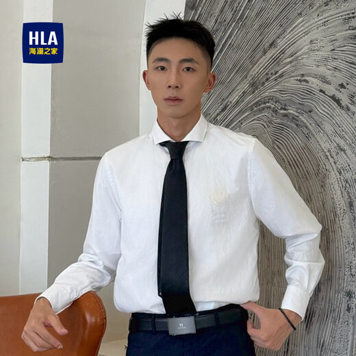 Heilan House (HLA) tie men's black birthday gift business wedding accessories for boyfriend black hand-made one-size-fits-all