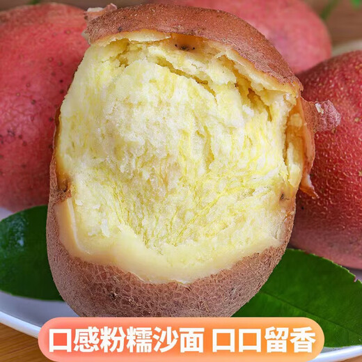 Really cheap red-skinned potatoes, plateau yellow-heart potatoes, red-skinned yellow-heart potatoes, vegetables and fruits, 5Jin Jin is equal to 0.5kg, large fruit, single fruit 150g+