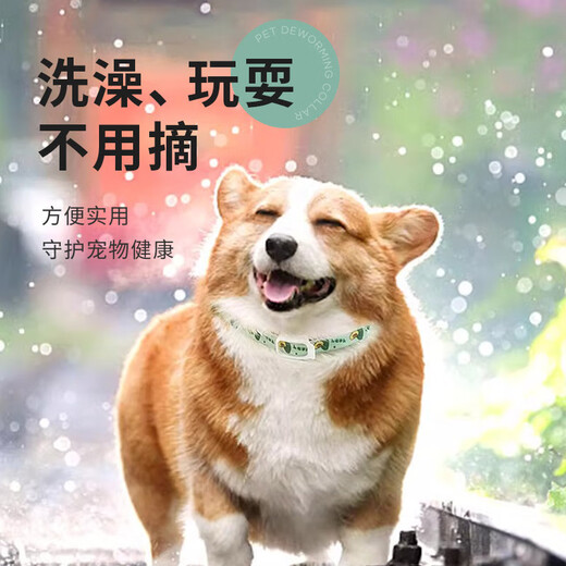 Huanpet.com cat repellent collar, dog cat pet dog cat collar, flea removal cat kitten, kitten puppy in vitro flea removal
