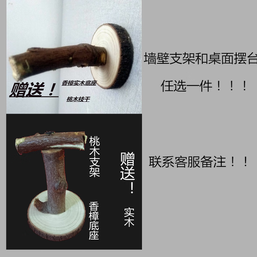 Benxin farm home furnishings, bird specimens, fake birds, simulated birds, parrot specimens, wall hangings, feathers, blue tiger skin