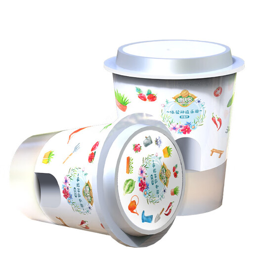 Devodo Impatiens Seed DIY Children's Fun Planting Potted Set Plant Observation Cup Children's Day