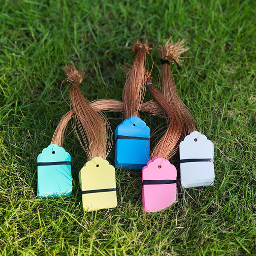 Arbor Day tag, plant tag, hanging tag, sapling, tree adoption tag, children's name information, plastic waterproof tag, 2.5*3.6cm blue, 100 pieces